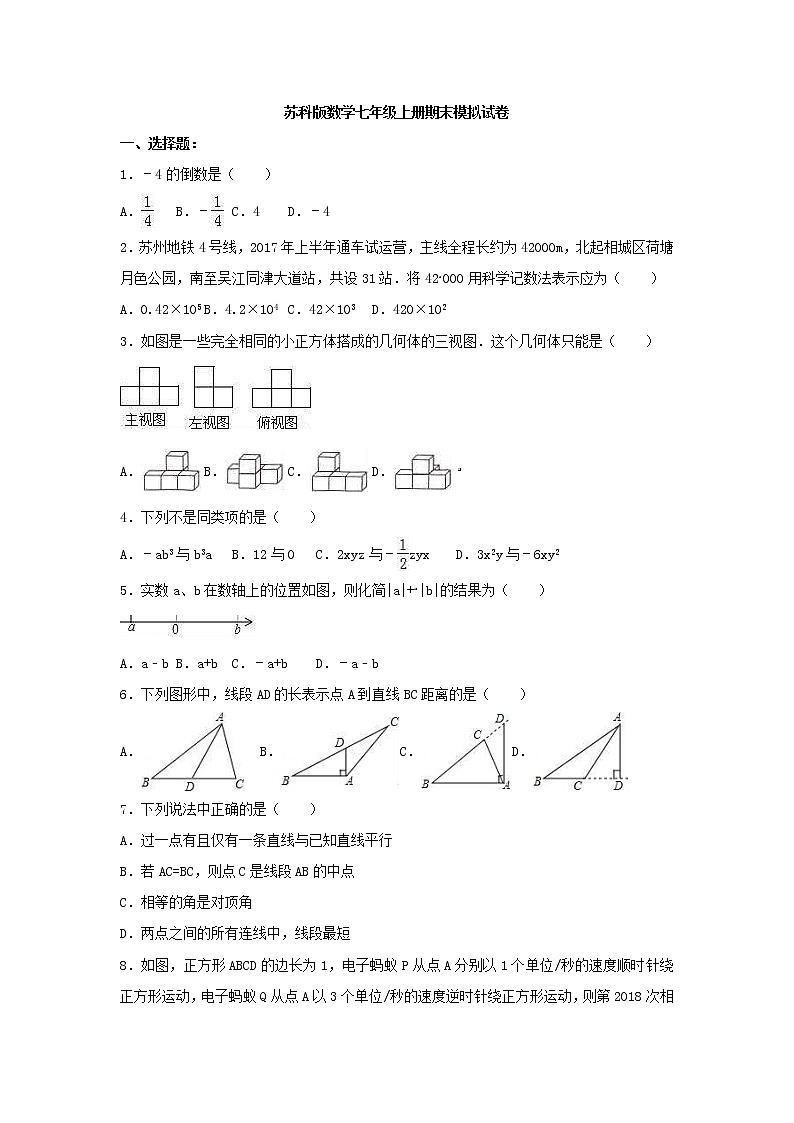 苏科版数学七年级上册期末模拟试卷五（含答案）01