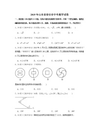 2019年山东省泰安市中考数学试卷+答案+解析