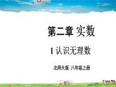 北师大版数学八年级上册  第二章 实数  1 认识无理数【教学课件+教案】