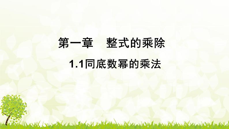 北师大版七年级数学下册 1.1   同底数幂的乘法 课件PPT+练习01