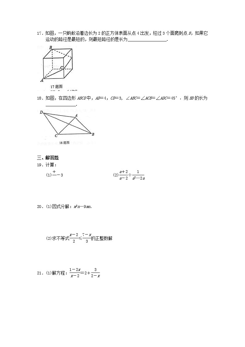 北师大版数学八年级上册期末模拟试卷02（含答案）第3页