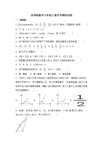 苏科版数学八年级上册月考模拟试卷二（含答案）