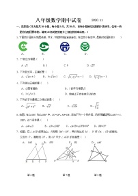 江苏省无锡市惠山区九校2020-2021学年八年级上学期期中考试数学试题