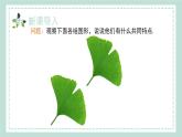 14.1《全等三角形》课件