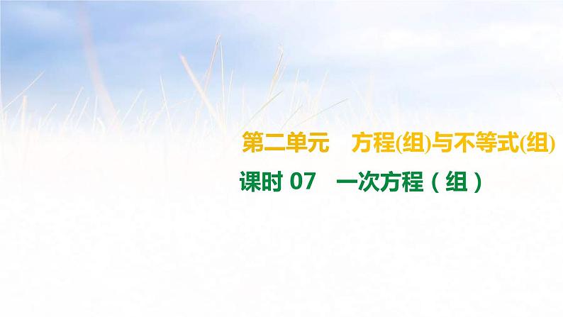 (广西版)中考数学总复习课件7《一次方程(组)》(含答案)01