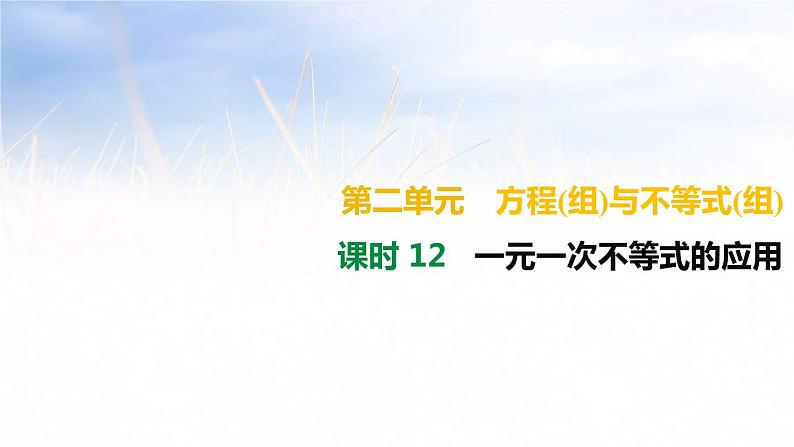 (广西版)中考数学总复习课件12《一元一次不等式的应用》(含答案)01