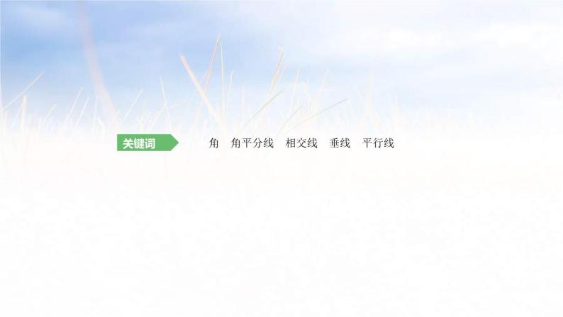 (广西版)中考数学总复习课件19《角、相交线与平行线》(含答案)02