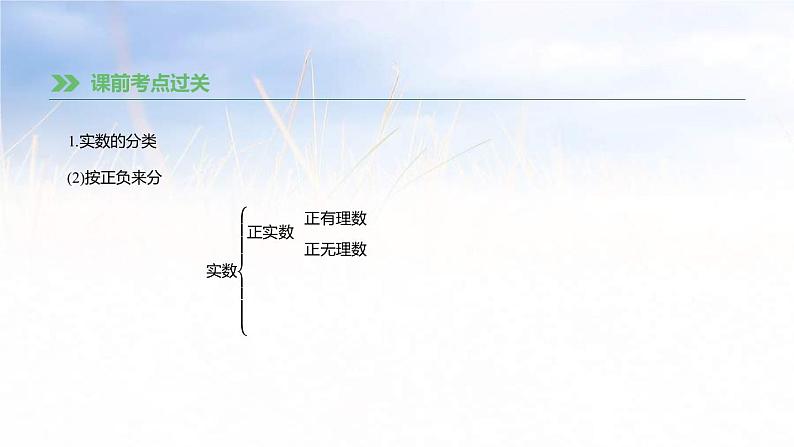 (广西版)中考数学总复习课件1《实数的有关概念》(含答案)04