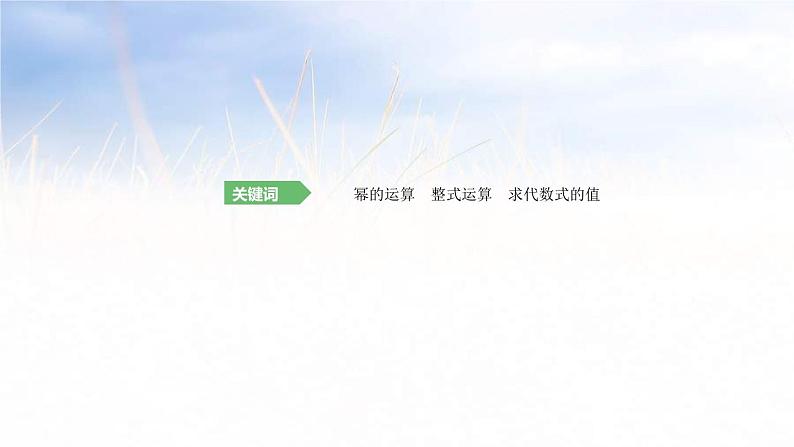 (广西版)中考数学总复习课件3《整式》(含答案)第2页