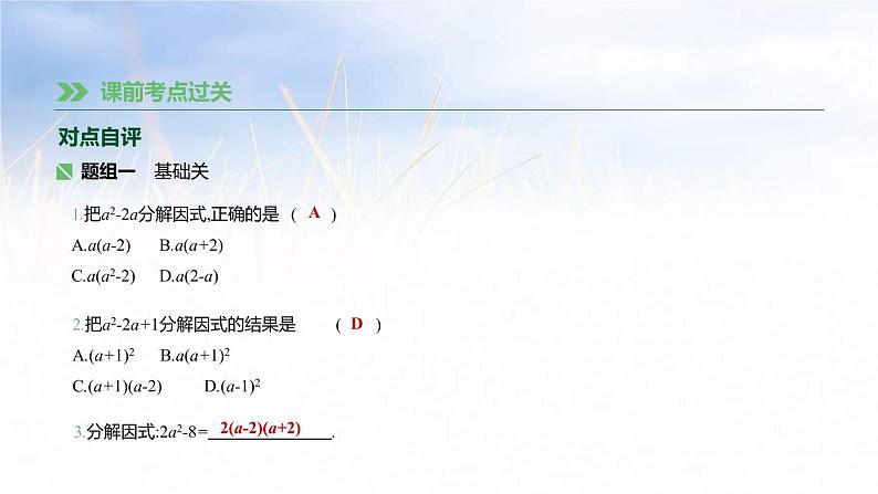 (广西版)中考数学总复习课件4《因式分解》(含答案)08