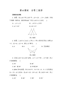 2022年中考数学二轮复习专题《全等三角形》练习册 (含答案)