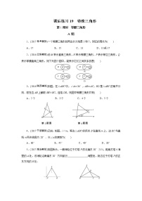 2022年中考数学一轮复习第19讲《特殊三角形》课后练习(含答案)