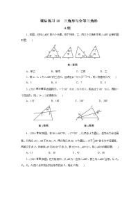 2022年中考数学一轮复习第18讲《三角形与全等三角形》课后练习(含答案)