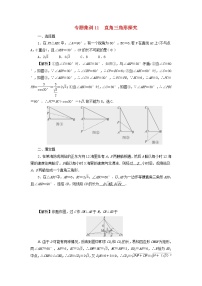 2022年中考数学二轮复习专题11《直角三角形探究》同步测试（含答案）