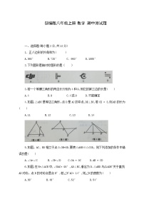 吉林省大安市乐胜中学2021-2022学年八年级数学上册期中测【试卷+答案】