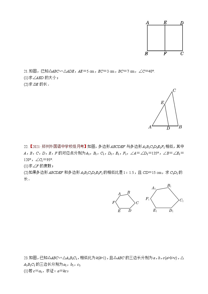 湘教版数学九年级上册同步练习3.3　相似图形第3页