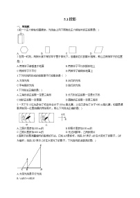 九年级上册1 投影复习练习题