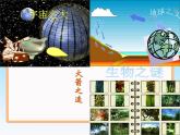 1.1 生活 數(shù)學(xué)（13）（課件）數(shù)學(xué)七年級上冊-蘇科版