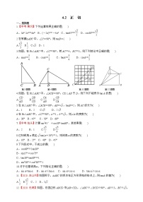 湘教版九年级上册4.2 正切综合训练题