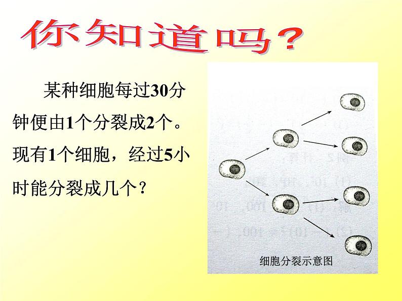 2.7 有理数的乘方（12）（课件）数学七年级上册-苏科版04