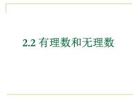 数学2.2 有理数与无理数课文课件ppt