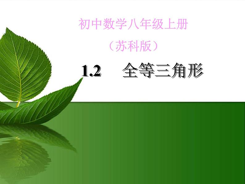 1.2 全等三角形（13）（课件）数学八年级上册-苏科版04