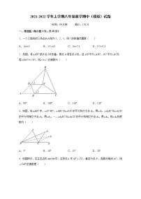 河北省石家庄市2021-2022学年八年级上学期数学期中（模拟）试题（word版含答案）