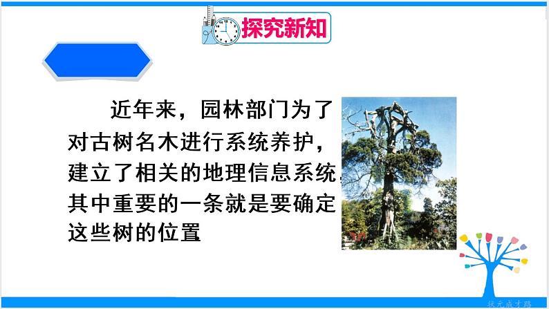 人教版七年级下册数学数学活动 第七章 章末复习（课件+导学案）04