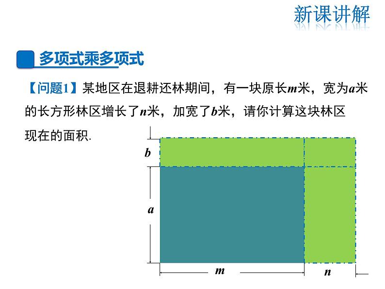 2021-2022学年度华师大版八年级上册数学课件 12.2 整式的乘法（第3课时）04