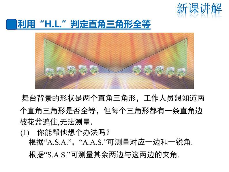 斜边直角边PPT课件免费下载04