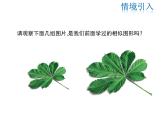 2021-2022学年度华师大版九年级上册数学课件 23.2 相似图形