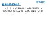 2021-2022学年度华师大版九年级上册数学课件 23.2 相似图形