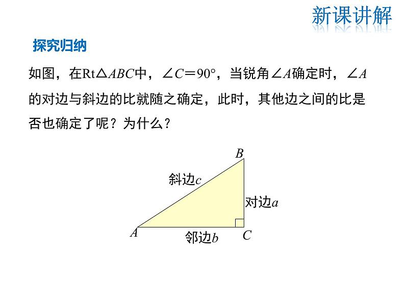 2021-2022学年度华师大版九年级上册数学课件 24.3 第1课时 锐角三角函数07