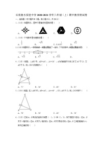 云南省衡水实验中学 2020-2021 学年八年级上学期期中数学【试卷+答案】