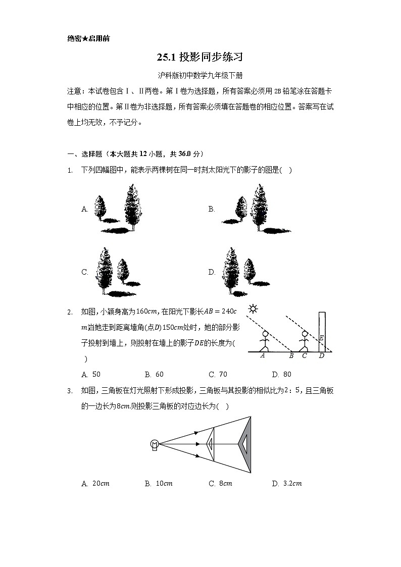 25.1投影  同步练习     沪科版初中数学九年级下册.01