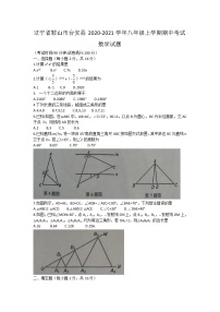 辽宁省鞍山市台安县2020-2021学年八年级上学期期中考试数学试题