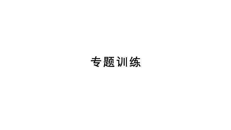 2021-2022学年度北师大版九年级中考复习课件 专题九 新定义问题第2页