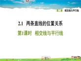 北师大版数学七年级下册  第二章  相交线与平行线  2.1.1相交线与平行线【习题课件】