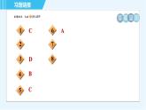 华师版九年级下册数学 第27章 27.1.3目标一 半圆或直径所对的圆周角的性质 习题课件