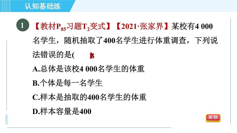 华师版九年级下册数学 第28章 28.1.1目标二 总体与样本的认识 习题课件第3页