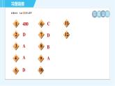 华师版九年级下册数学 第28章 28.2.1简单随机抽样 习题课件