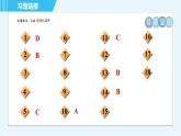 华师版九年级下册数学 第27章 全章高频考点专训 习题课件
