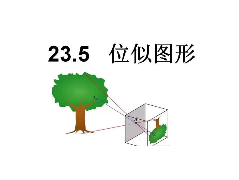 23.5 位似图形 课件PPT01