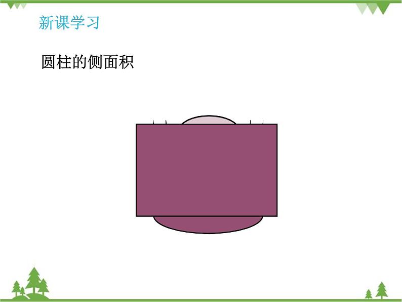 人教版（五四制)数学六年级上册 5.1 圆柱_课件06