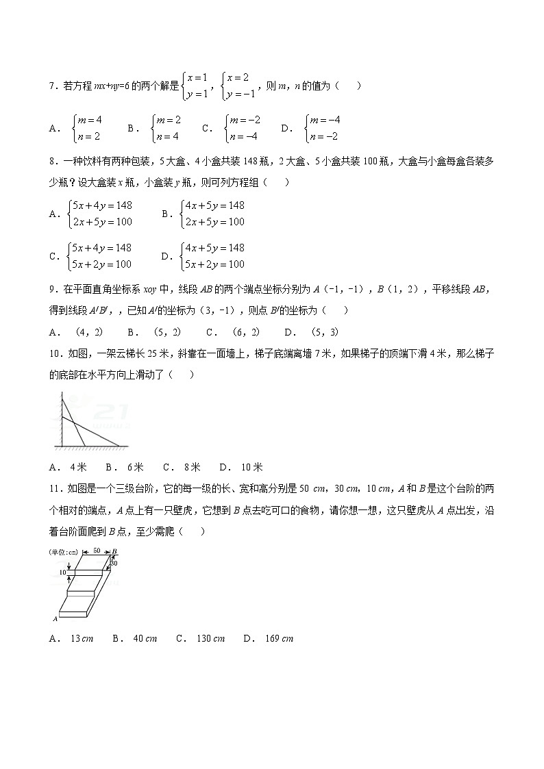 北师大版八年级上册数学期中模拟试题--含答案 (3)第2页