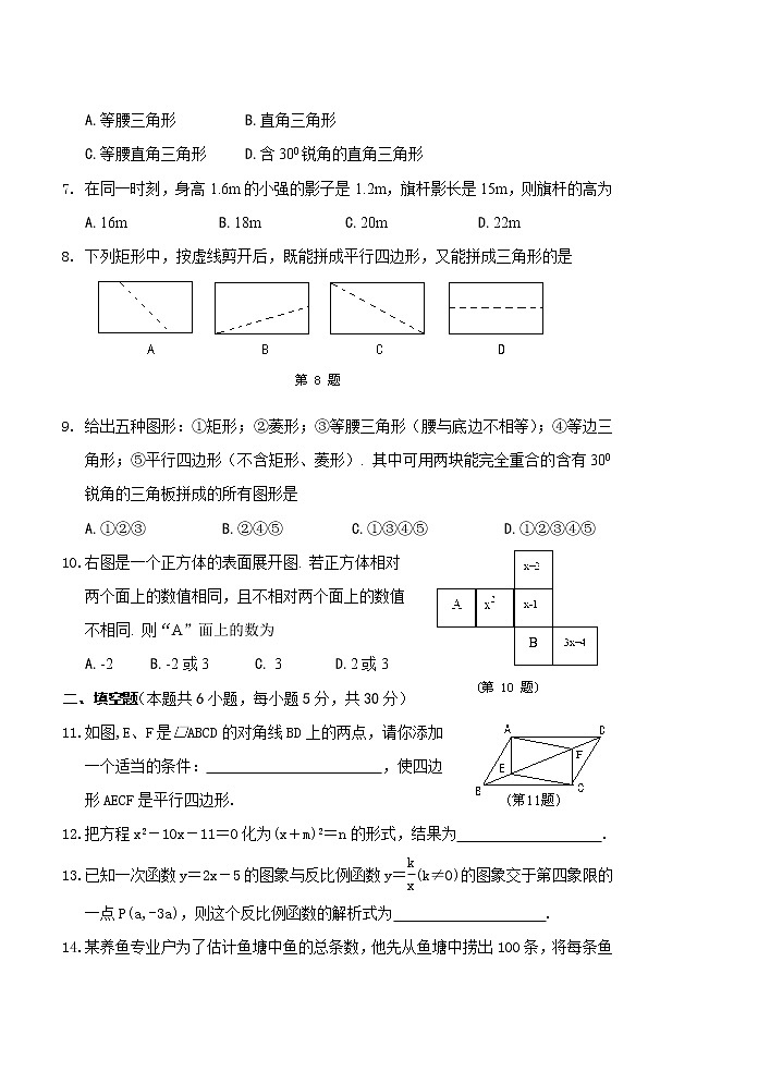 北师大版九年级上数学期中试卷-无答案 (4)第2页