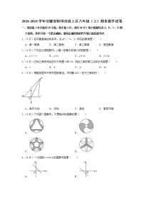 2018-2019学年安徽省蚌埠市淮上区八年级（上）期末数学试卷