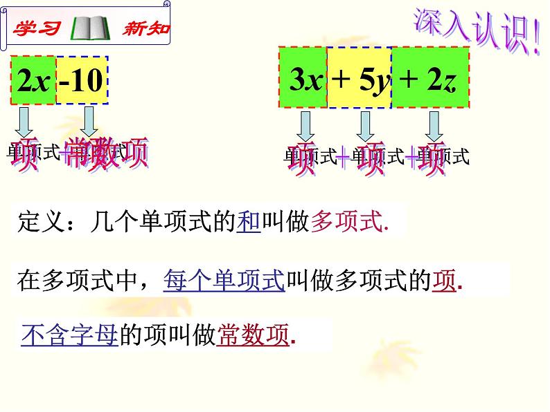 2.1  整式（3）课件PPT第5页