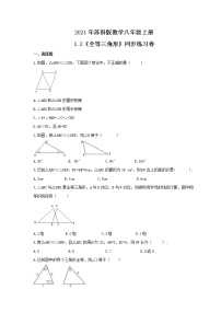 2021学年1.2 全等三角形优秀课时练习