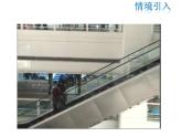 2021-2022学年度北师版八年级数学下册课件 3.1 第1课时  平移的认识及性质